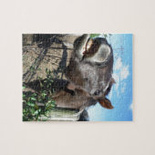 Talking Brown Horse Puzzle (Horizontal)