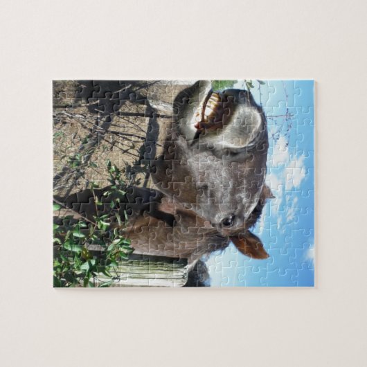 Talking Brown Horse Puzzle (Horizontal)