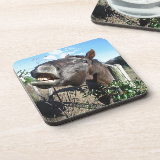 Talking Brown Horse Untersetzer (Linke Seite)