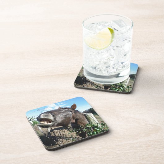 Talking Brown Horse Untersetzer (Rechte Seite)