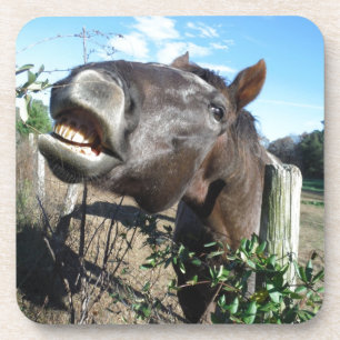 Talking Brown Horse Untersetzer