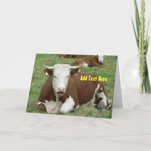 Talking Cow Greeting Card Karte (Vorderseite)