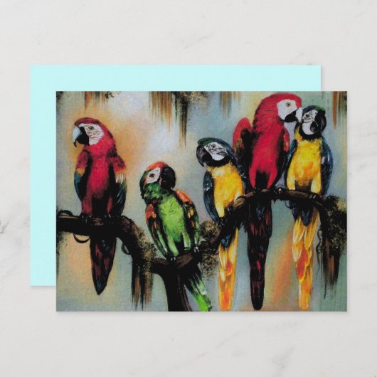 Talking Parrots ~ Postcard Bird Nature Wild Postkarte (Vorne/Hinten)