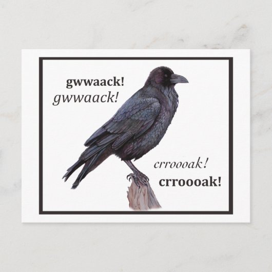 Talking Raven Greeting Postkarte (Vorderseite)