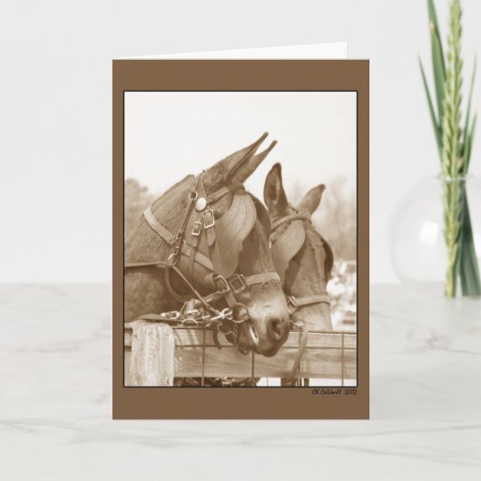 Talkin'it Over Karte (Vorderseite)