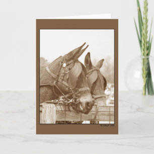 Talkin'it Over Karte