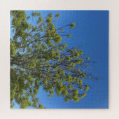 Tall Ash Tree im schönen Blue Sky Foto Puzzle (Horizontal)