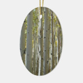 Tall Aspen Trunks Ornament (Links)