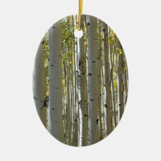Tall Aspen Trunks Ornament (Vorne)