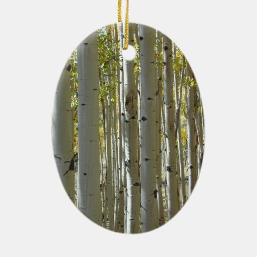 Tall Aspen Trunks Ornament (Hinten)