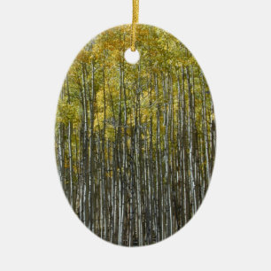 Tall Aspens Ornament