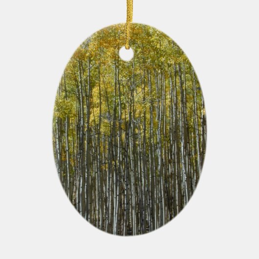 Tall Aspens Ornament (Vorne)