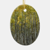 Tall Aspens Ornament (Hinten)