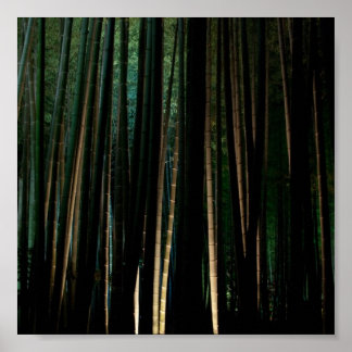 Tall Bamboo in der Nacht. Poster