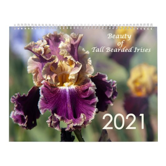 Tall Barted Irises-Kalender für 2021 Kalender (Titelbild)