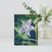 Tall Bellflower Wildblume Postkarte (Stehend Vorderseite)