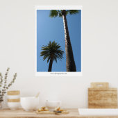 Tall California Palm Trees Poster Print (Küche)
