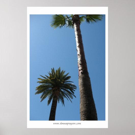 Tall California Palm Trees Poster Print (Vorne)