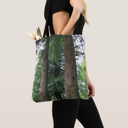Tall Coastal Redwood Trees Tasche (Von Nahem)