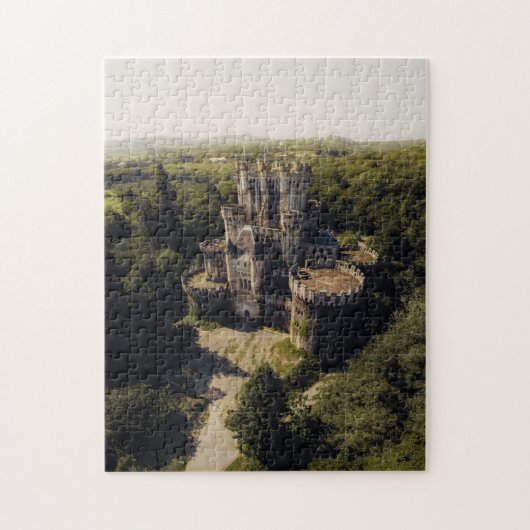 Tall Gray Stone Castle in Wooded Ireland Puzzle (Vertikal)