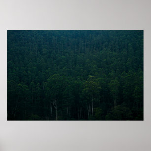 TALL GREEN TREES POSTER