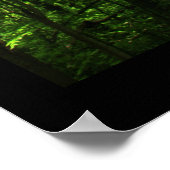 Tall Green Trees Poster #6183 (Ecke)