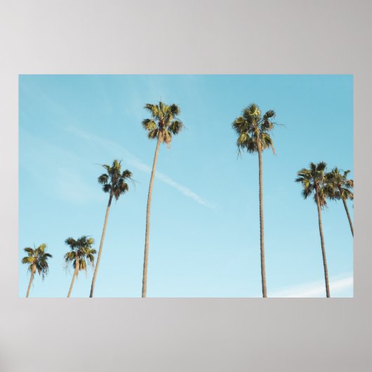 Tall Palm Trees Light Blue Sky Poster (Vorne)