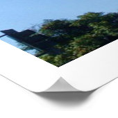 TALL PALM TREMES Poster (Ecke)