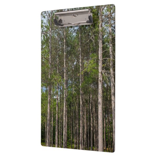 Tall Pines Klemmbrett (Links)