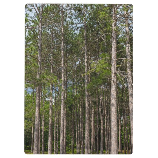 Tall Pines Klemmbrett (Rückseite)