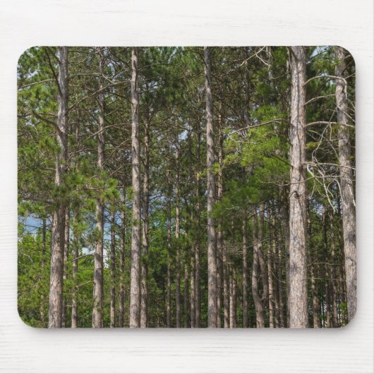 Tall Pines Mousepad (Vorne)