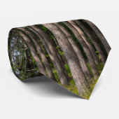 Tall Pines Neck Tie Krawatte (Gerollt)