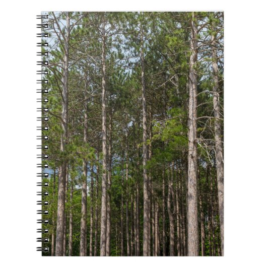 Tall Pines Notizblock (Vorderseite)