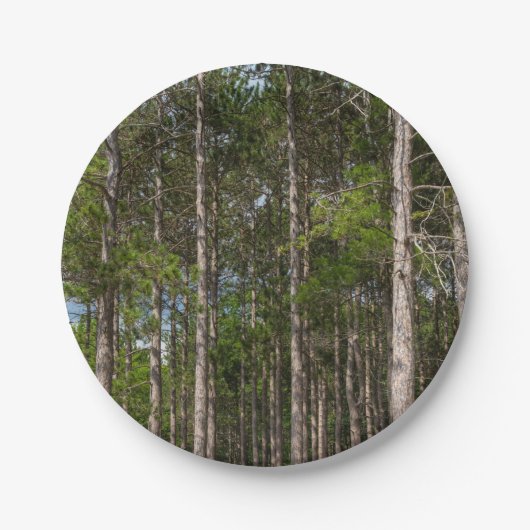 Tall Pines Pappteller (Vorderseite)