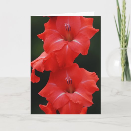 Tall Red Flowers Art Note Card Karte (Vorderseite)