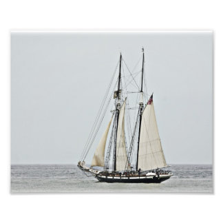 Tall Ship Californian Fotodruck