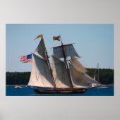 Tall Ship Pride Baltimore Foto Poster (Vorne)