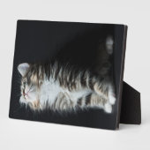 Tall Tabby Fotoplatte (Seite)