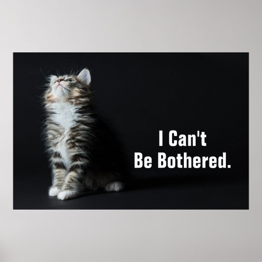 Tall Tabby Poster (Vorne)