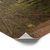 Tall Tree Foto Poster (Ecke)