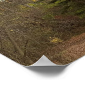 Tall Tree Foto Poster (Ecke)