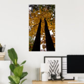 Tall Trees Gold Autmn Blätter Poster (Heimbüro)