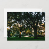 Tall Trees in Downtown Charleston, South Carolina Postkarte (Vorne/Hinten)