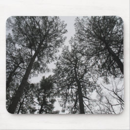 Tall Trees Mousepad