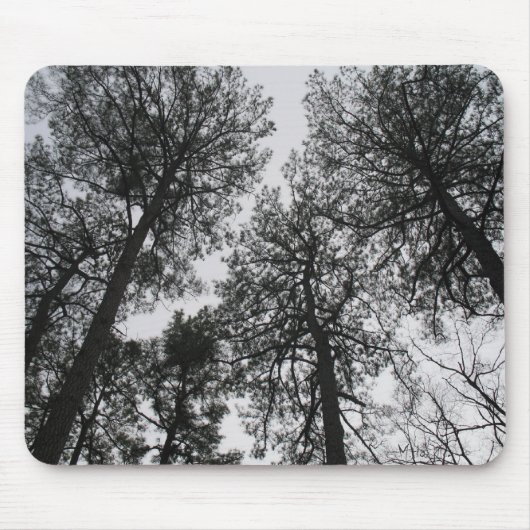 Tall Trees Mousepad (Vorne)