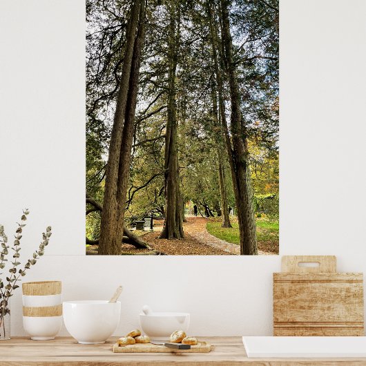 Tall Trees Poster (Küche)