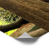 Tall Trees Poster (Ecke)