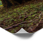 Tall Trees Poster (Ecke)