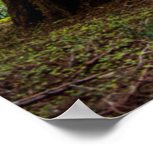 Tall Trees Poster (Ecke)