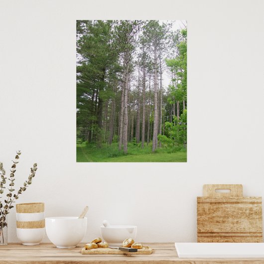 Tall Trees Poster (Küche)